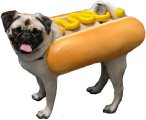 rockyperritomostaza.jpg