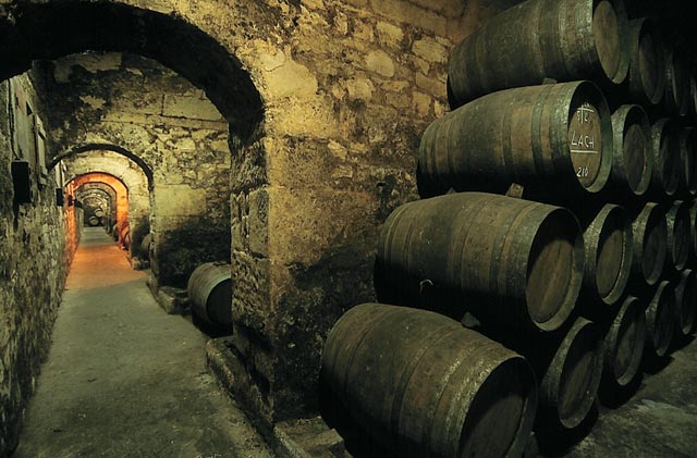 bodegas-marques-de-riscal-1