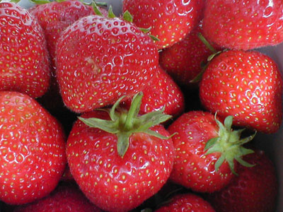 fresas fresas