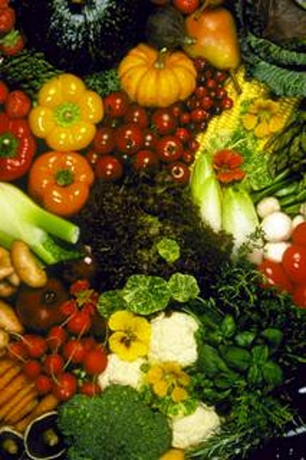 ensalada-vegetal-2 ensalada-vegetal