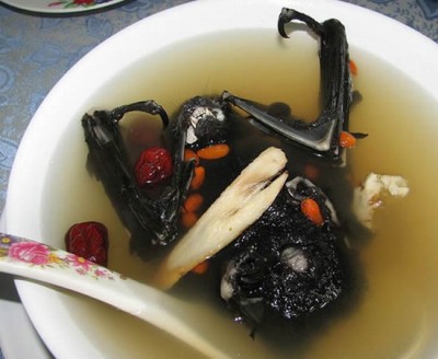 sopa-de-murcielago-1 Juego, pajaro que vuela a la cazuela