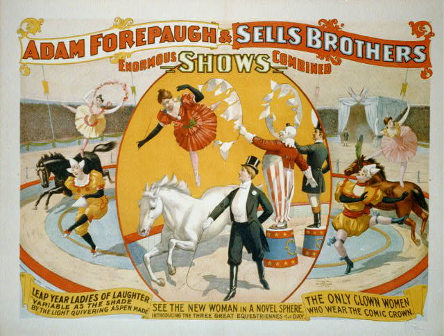 Circus opinion