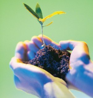ecologia ecologia