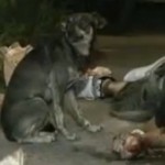 Él no te abandonaría