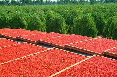 bayas1 goji bayas1 goji