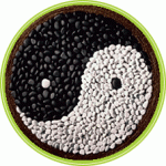Cualidades de las verduras y formas de hacerlas