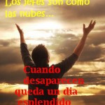 Vídeos y animaciones de humor 