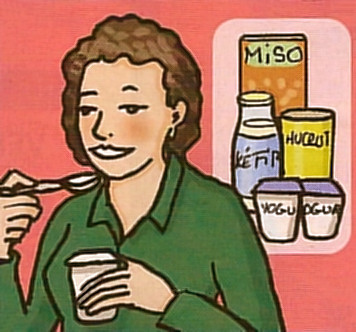 antibioticos flora intestinal intestino bacterias antibioticos flora intestinal intestino bacterias