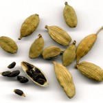 Cardamomo para abrir el apetito