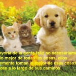 Una sonrisa con gatos