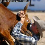 Vídeos de humor con profesionales en sus trabajos