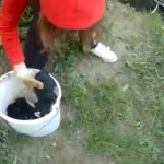 Ultima noticia: Policía bosnia detiene a la chica que arrojó los cachorros al río