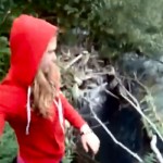 Buscando a la malvada que tiro perritos al rio