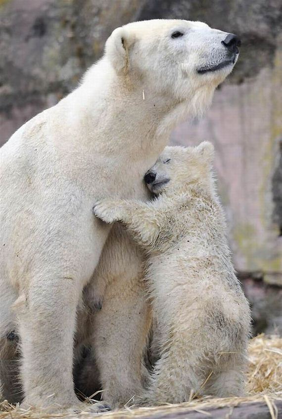 madres-bebes-ternura