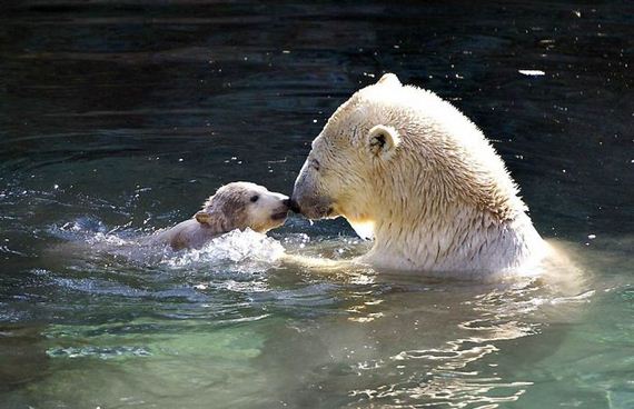 madres-bebes-ternura