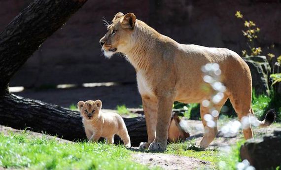 madres-bebes-ternura