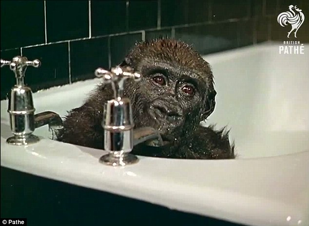 mono-bañera