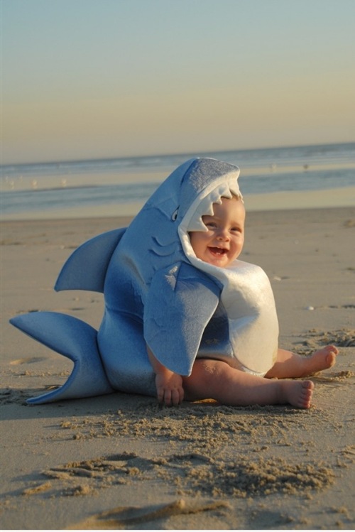 bebe-tiburon