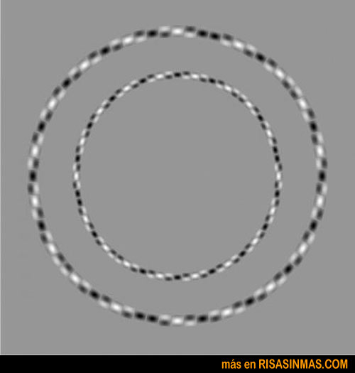 ilusion-optica-circulos-perfectos