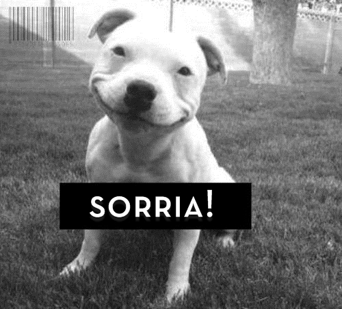 brena sorria