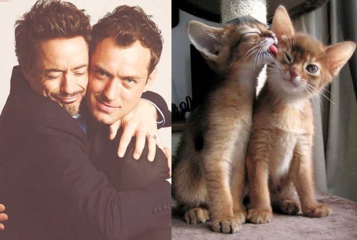 hot_men_and_their_feline_counterparts_01