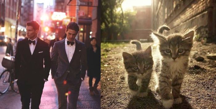 hot_men_and_their_feline_counterparts_50