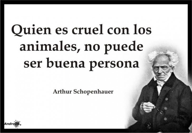 ArthurSchopenhauer