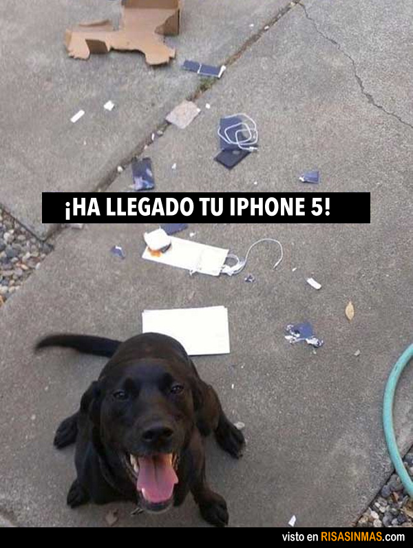 ha-llegado-tu-iphone-5