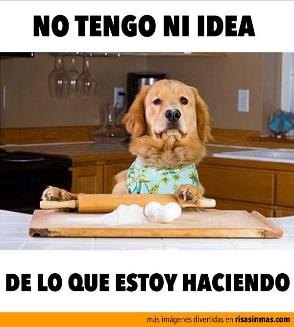 perro-cocinero