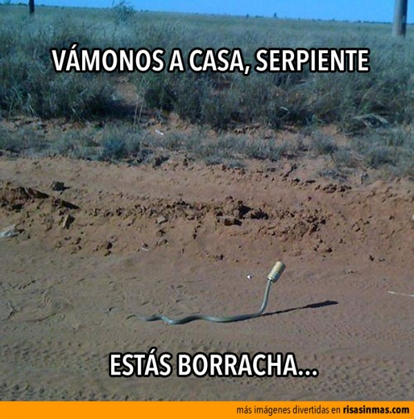serpiente-borracha