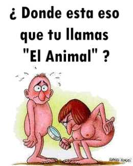 animal. HUMOR GRAFICO