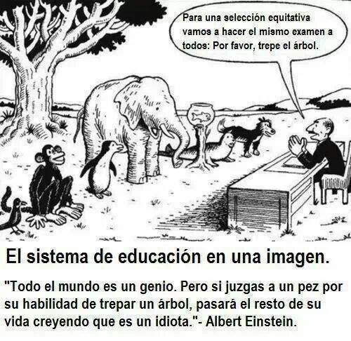 educacion