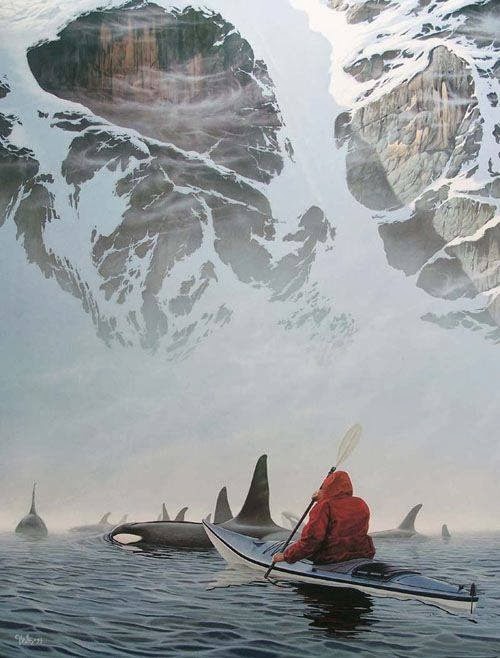 orcas