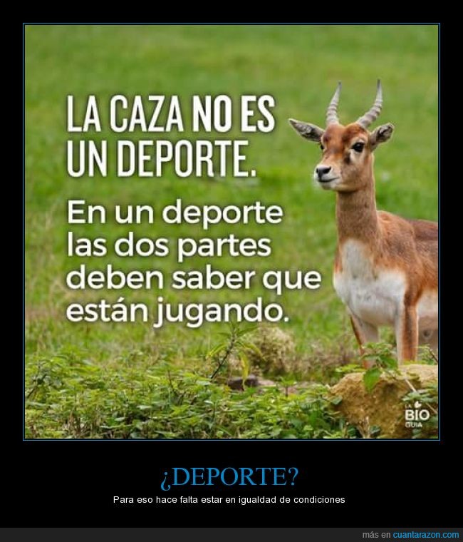 aza_un_deporte