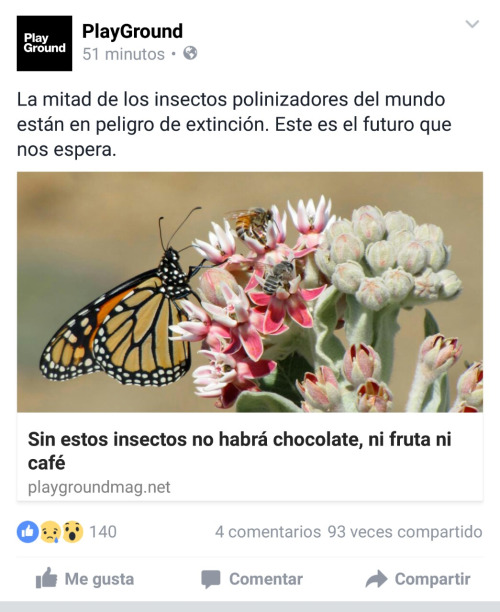 a b insecto