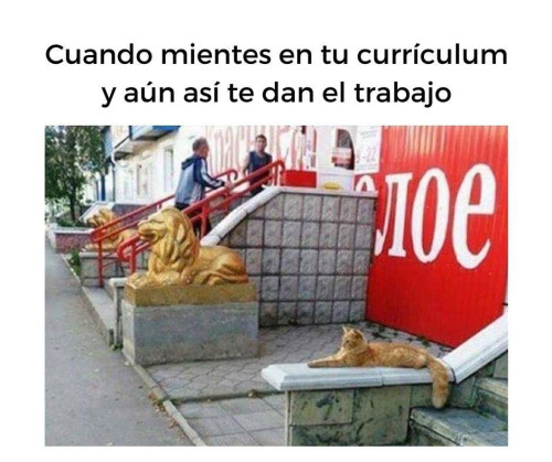 curriculun