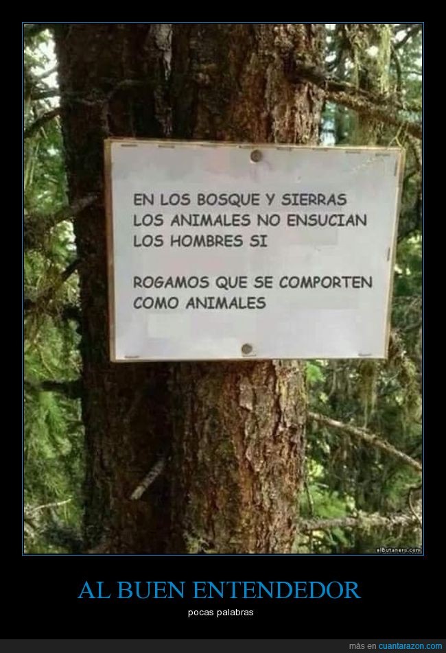 en_los_bosques