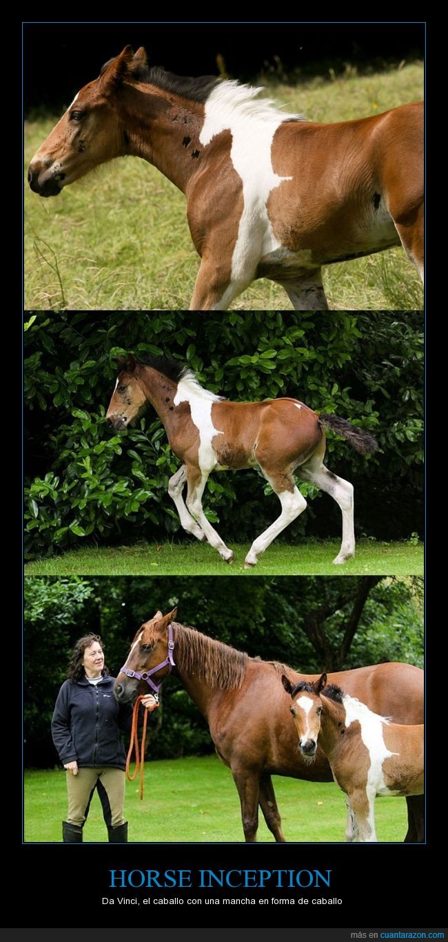 horse_inception