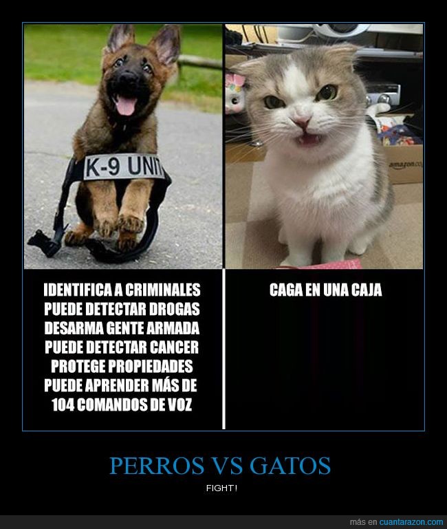 perros_vs_gatos