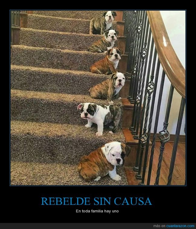 rebelde_sin_causa