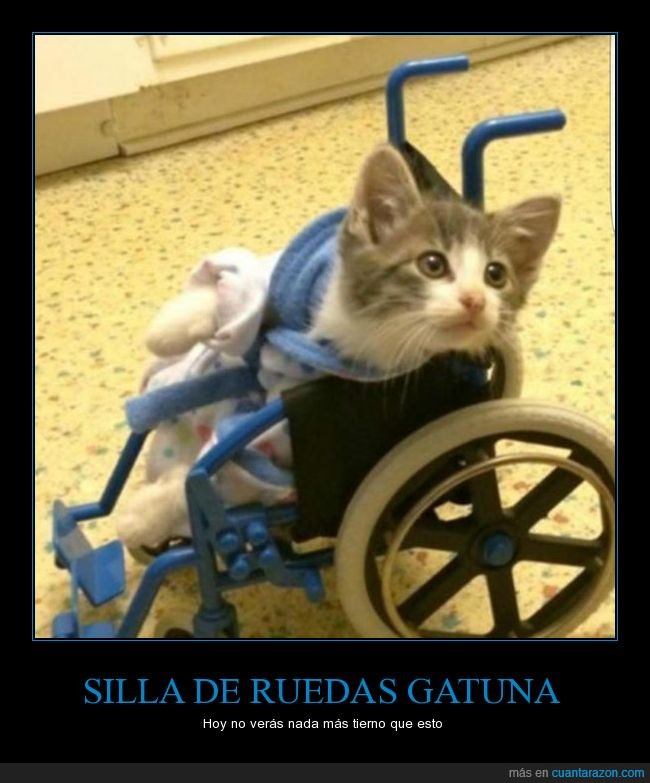 a b c ruedas_gatuna