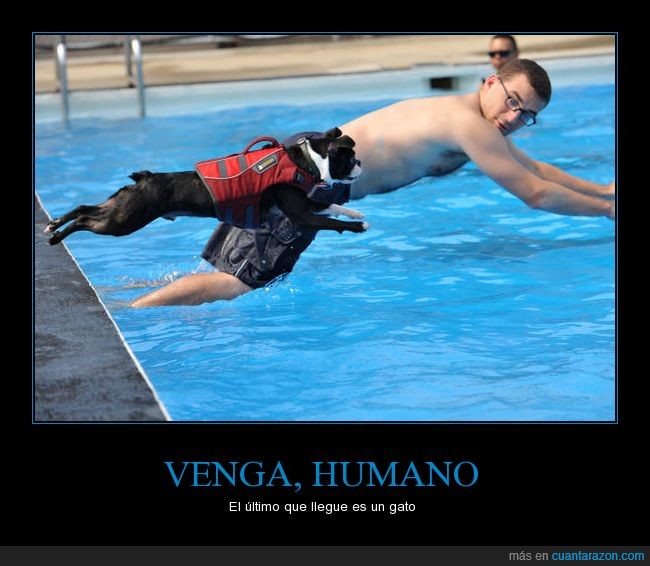 venga_humano