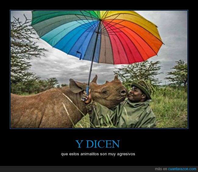 y_dicen